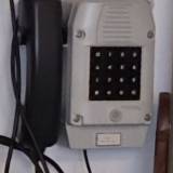 wad-96.jpg