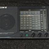 icf-sw22.jpg